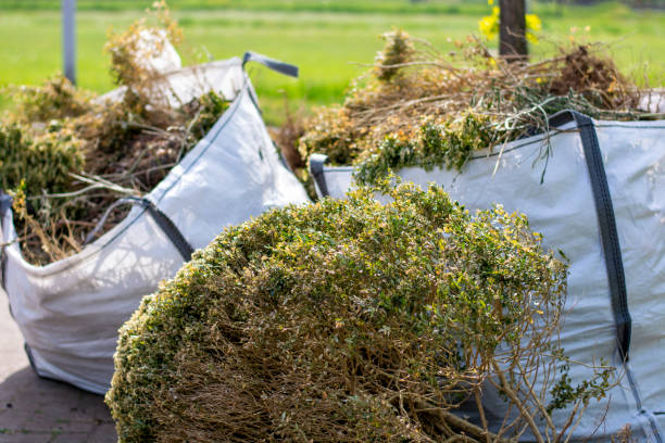 Best Trash Removal Near Me  in Lwa, CA